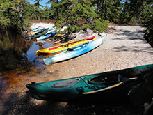 Along the Wading River